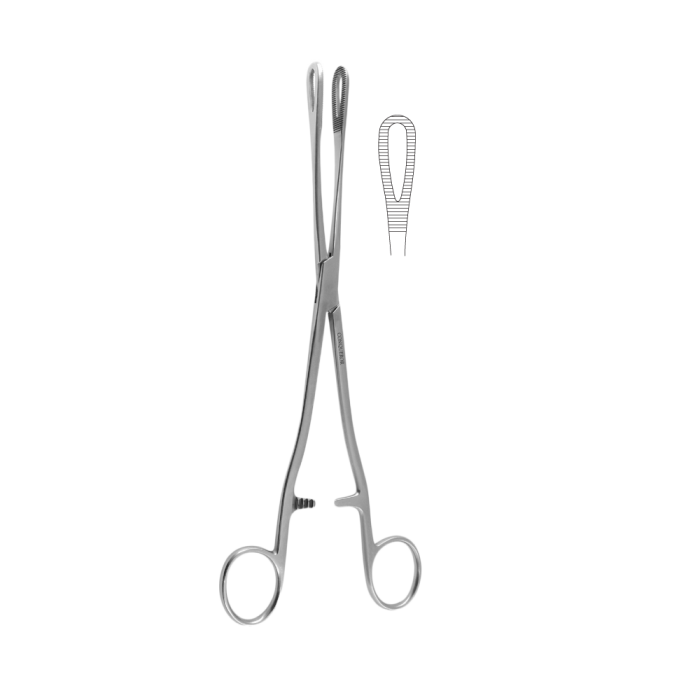 RAMPLEY Sponge Forcep 25CM